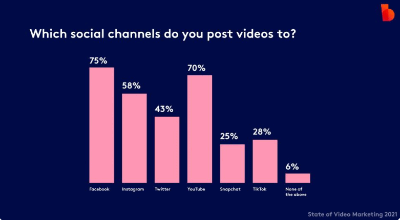Video Marketing